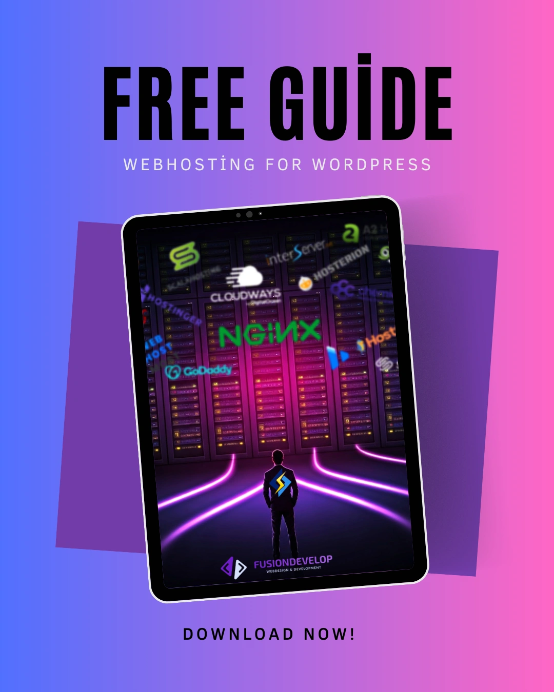 flayer pentru ghidul de webhosting